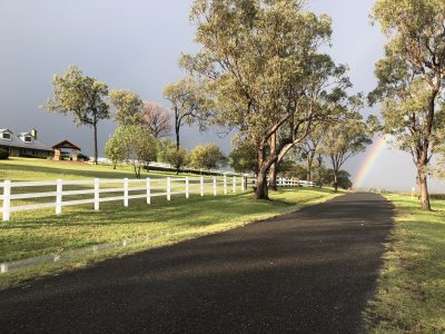 Photo 18-4-2024, 4 03 42 PM